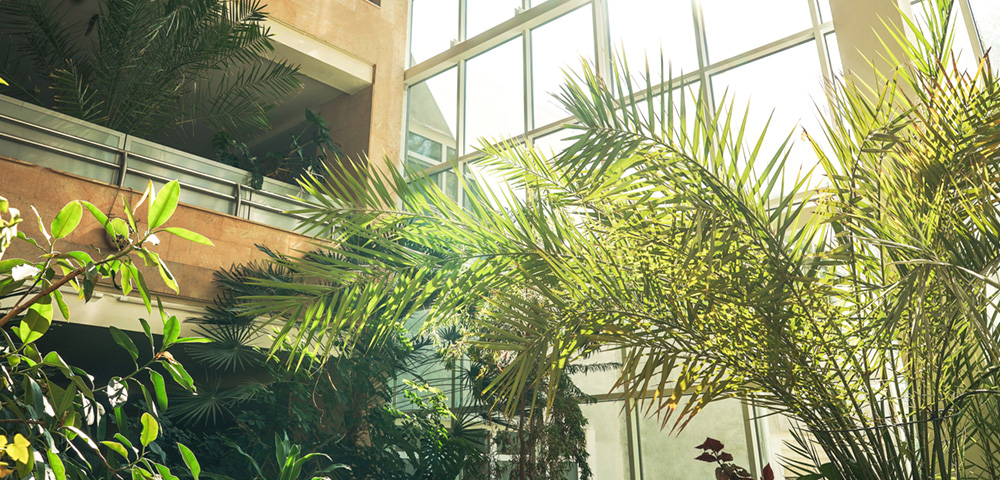 The Contribution of Biophilic Design to Eco Architecture