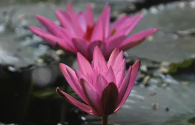 Blog